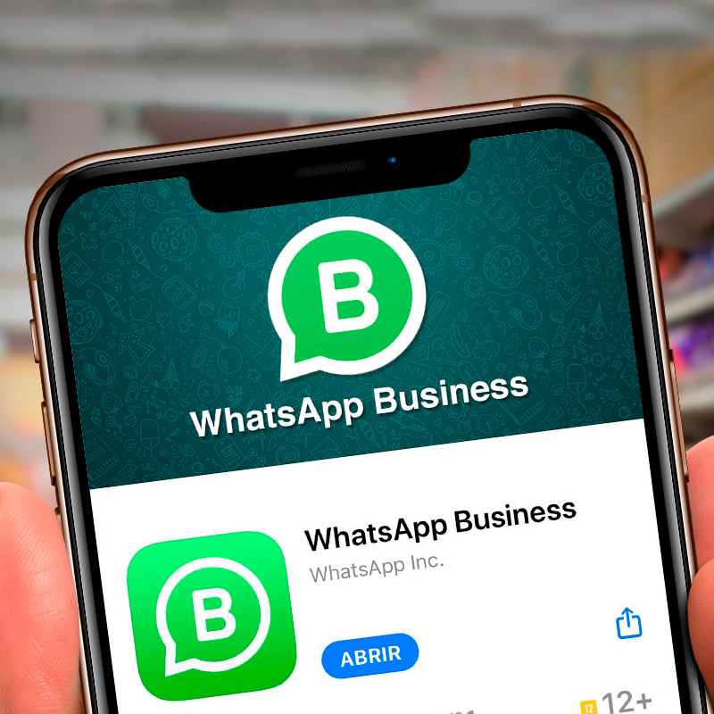 Leia mais sobre o artigo WhatsApp Business