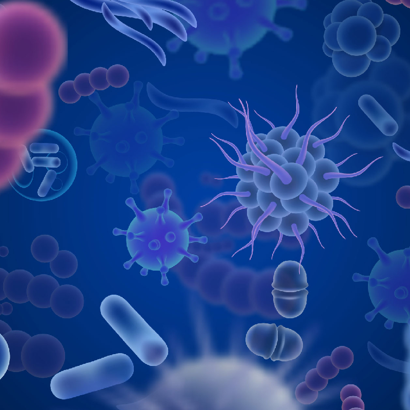 Você está visualizando atualmente Biologia